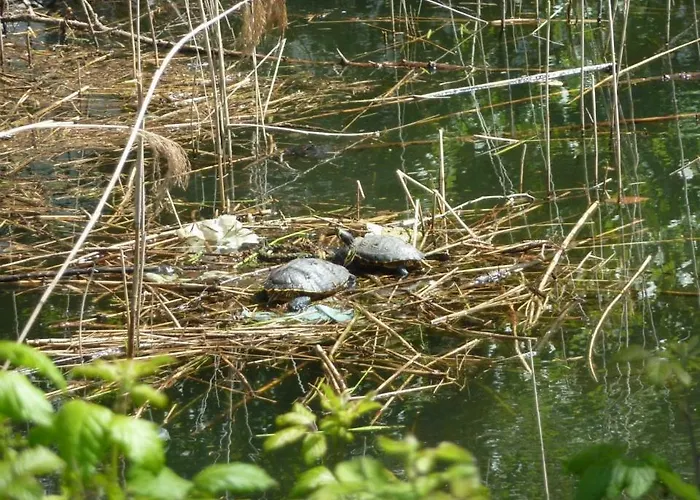 Apartmán Giuliana Dervio