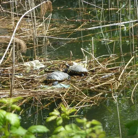 Διαμέρισμα Giuliana Ντέρβιο